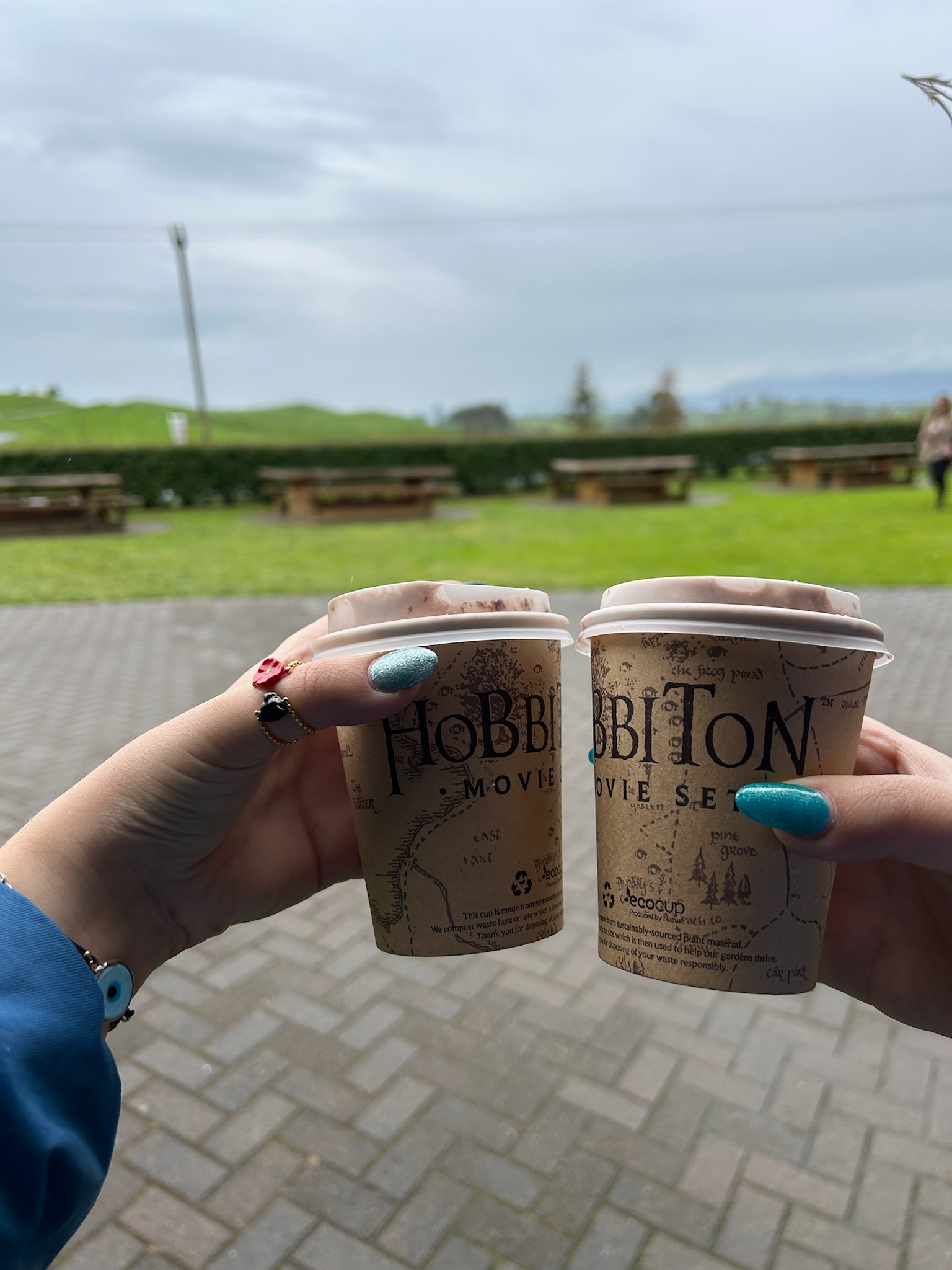 The Northern Explorer Train: Wellington to Auckland Through Volcanoes and Gorges