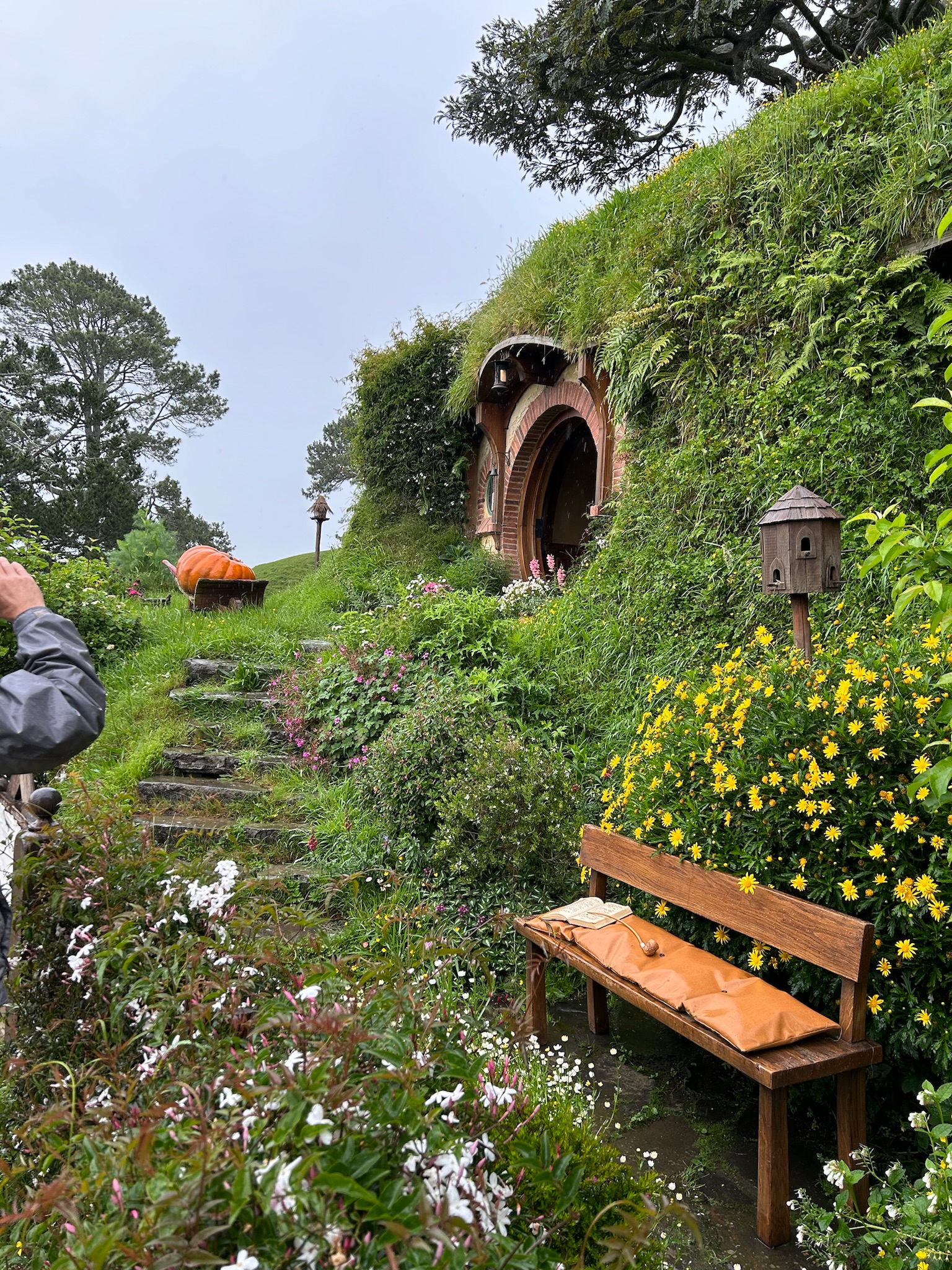River gorge and native bush seen from the Northern Explorer viewing car