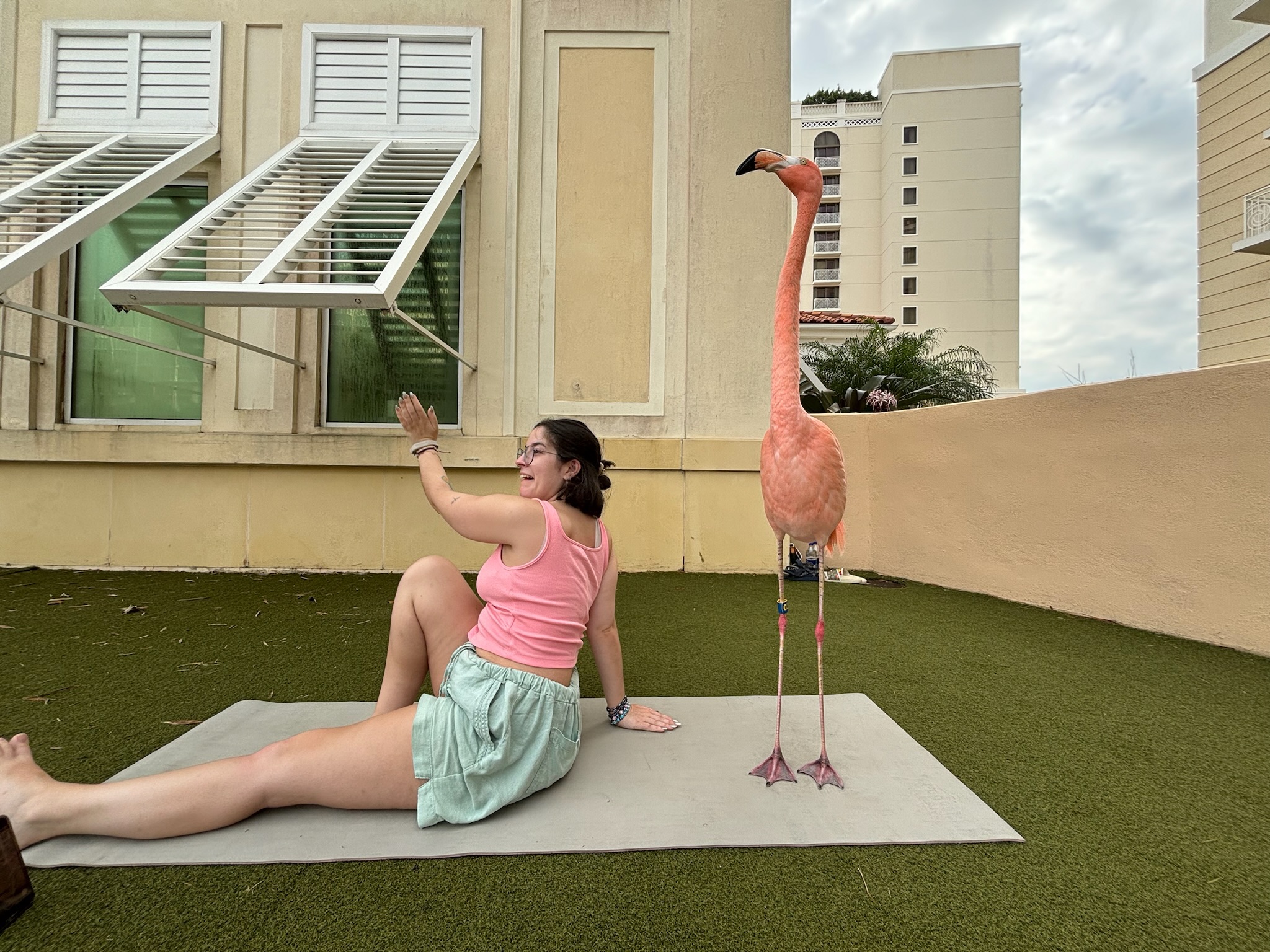 Bahamas beach and water during swimming pigs excursion