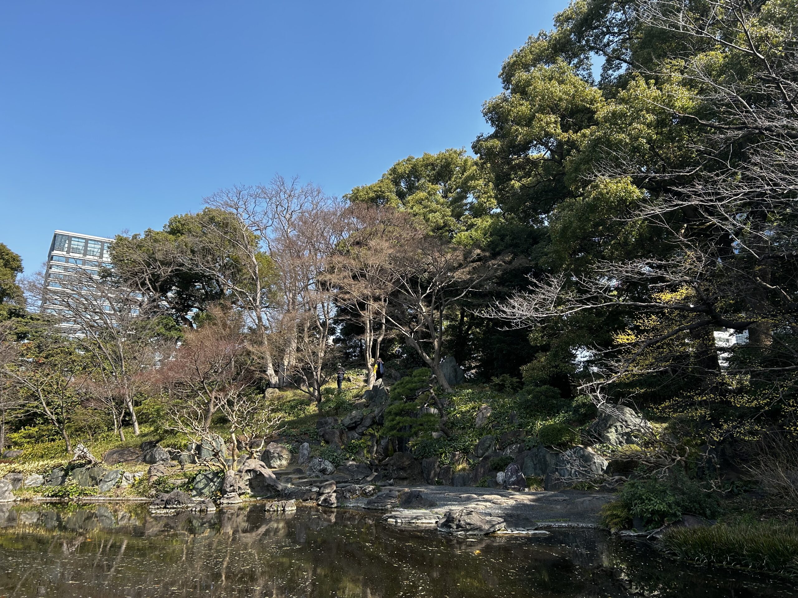 Peaceful Japanese garden with pond and trees