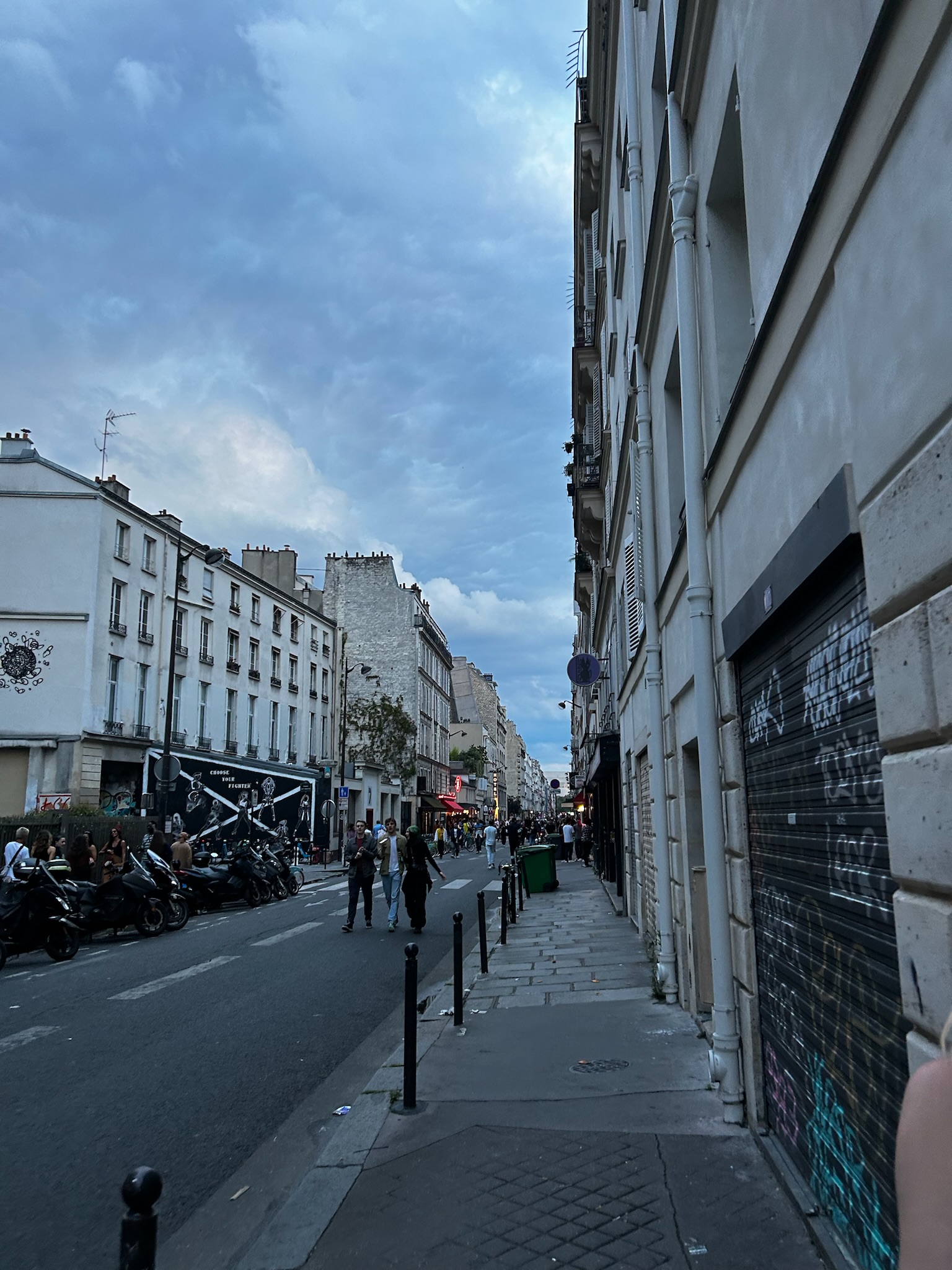 Provence lavender fields and French countryside