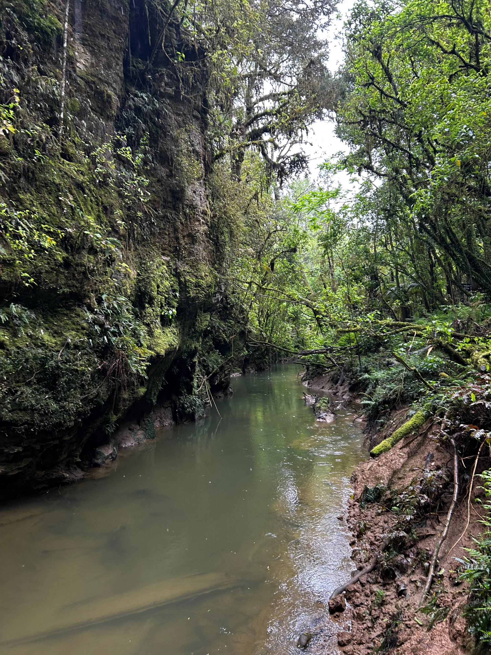 amsterdam-architecture
