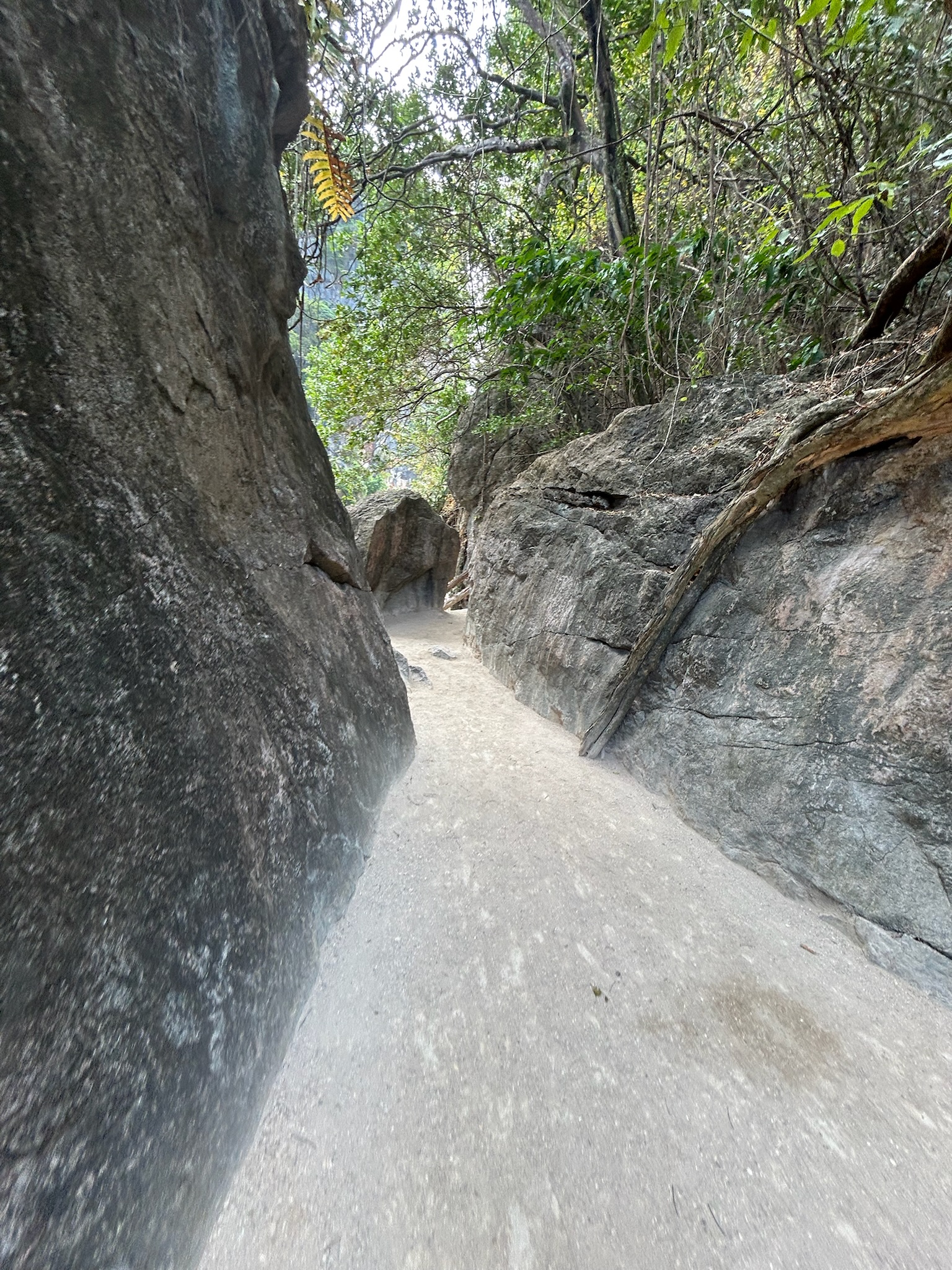 Bangkok Street Food - market stalls and local ingredients