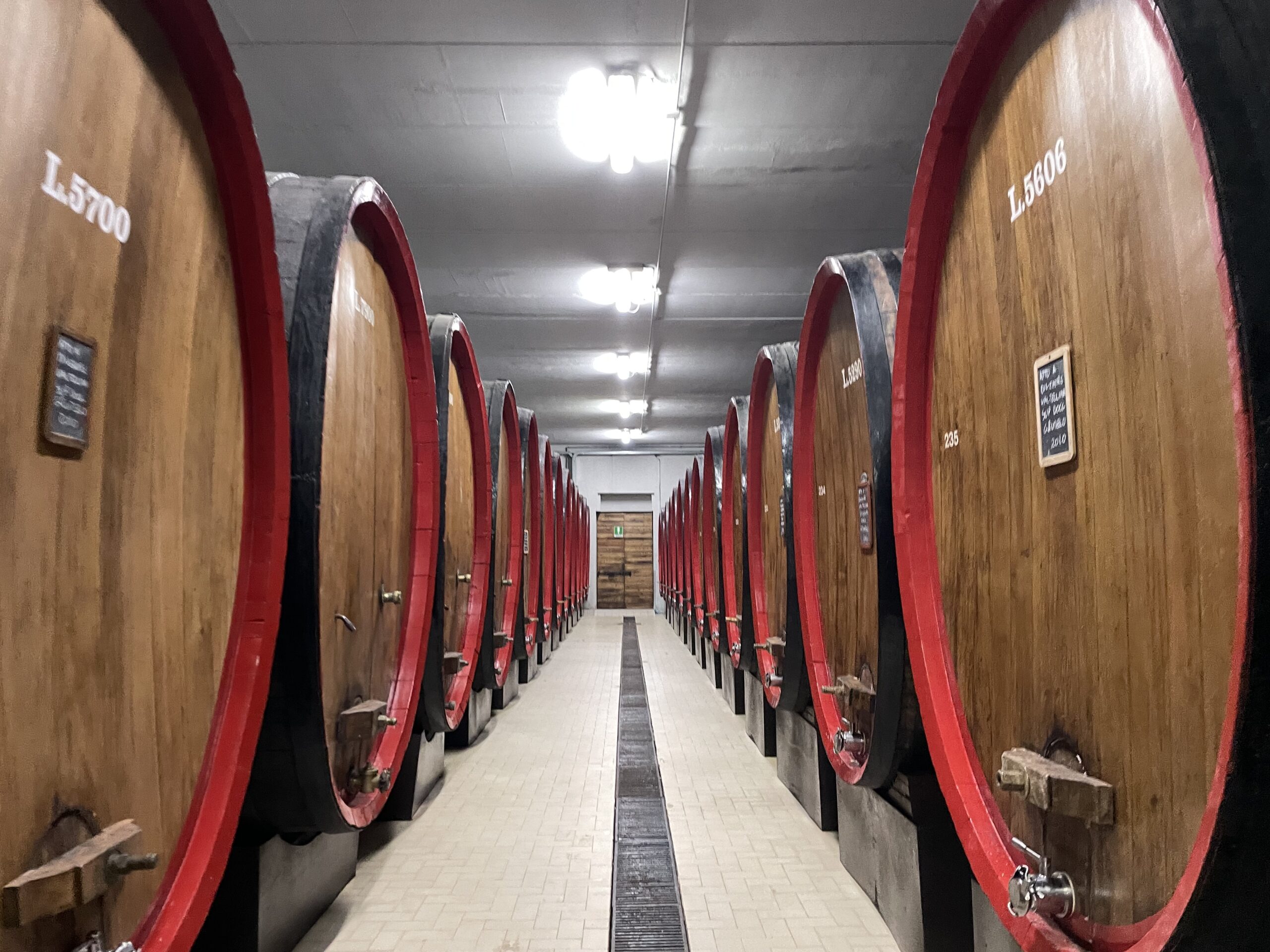 Large wooden wine barrels in an Italian winery cellar