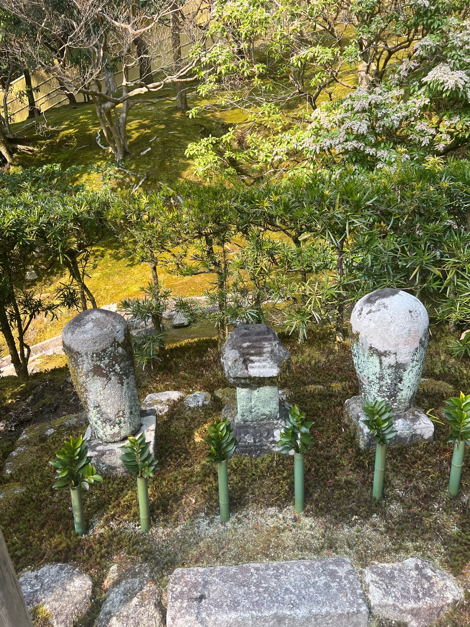 Japan temples, food, and culture, 2023