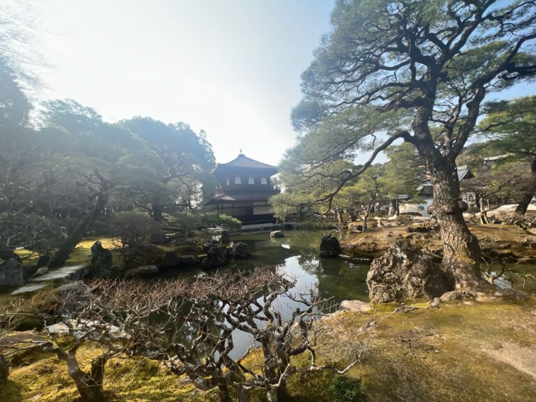Deer roaming freely in Nara Park, Japan among temples