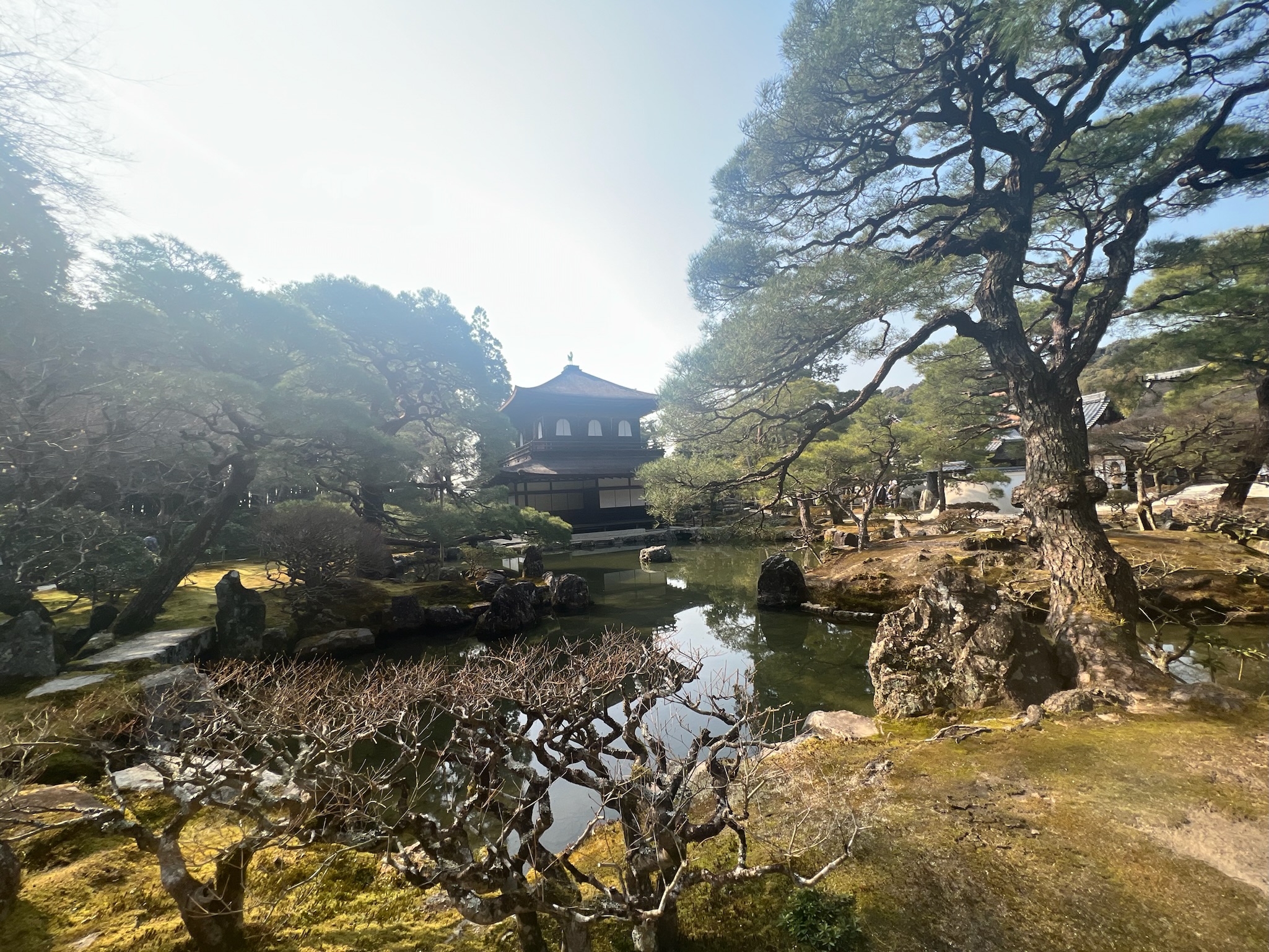 Nara Park Day Trip from Kyoto: Deer, Todai-ji, and a Stolen Map