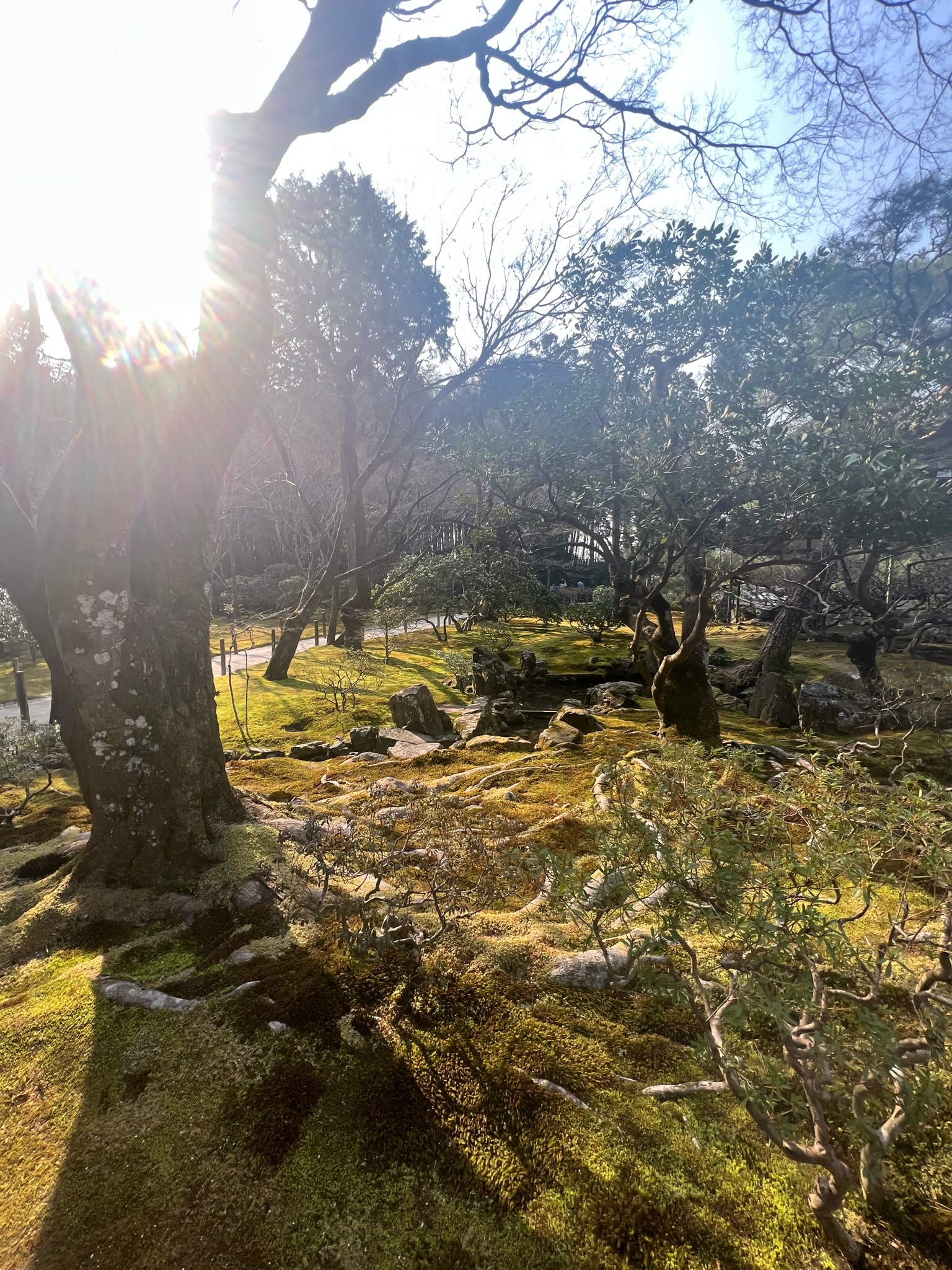 Japan landscape during Mt. Fuji day trip from Tokyo