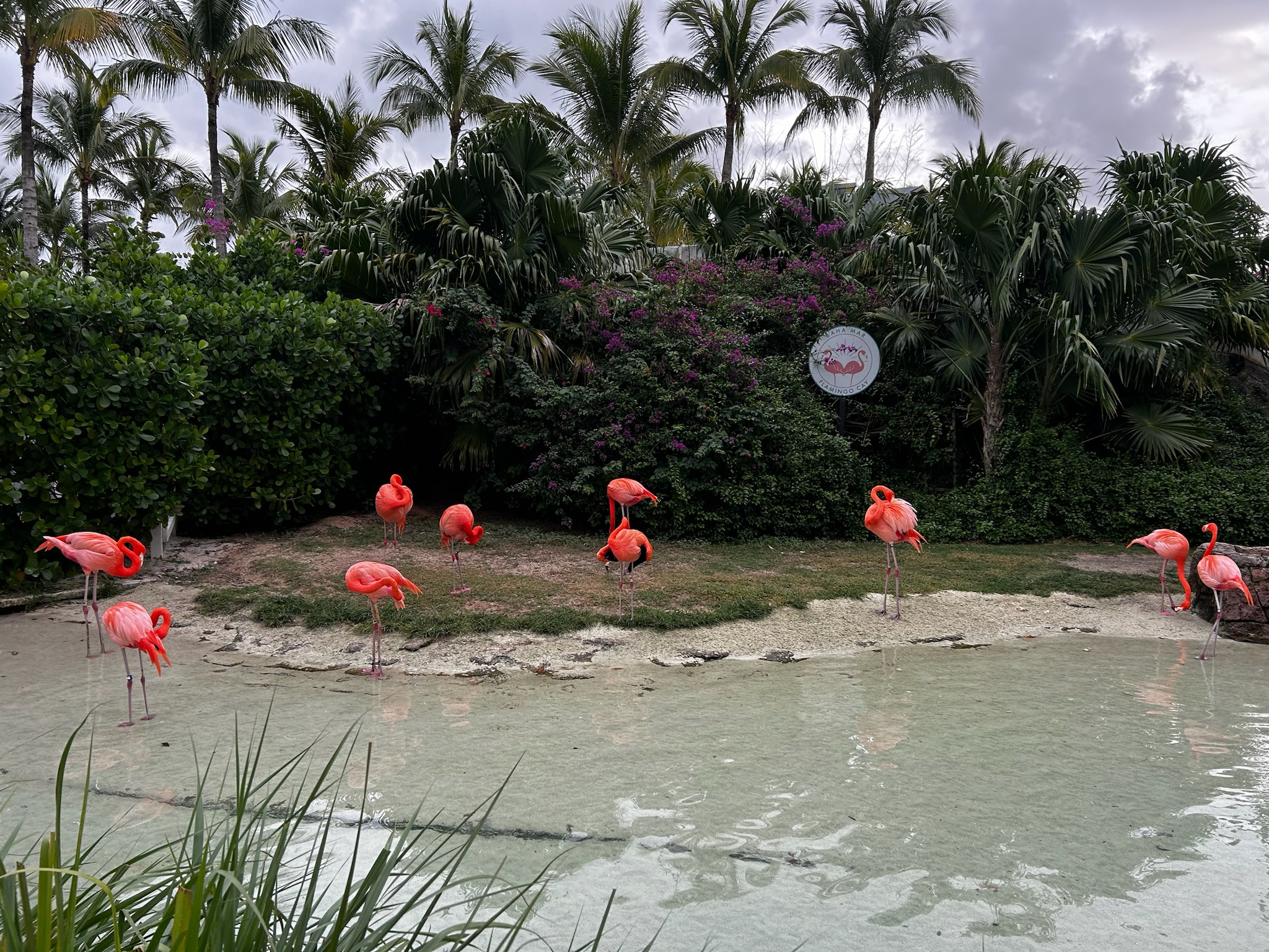 Baha Mar casino area, Nassau 2024