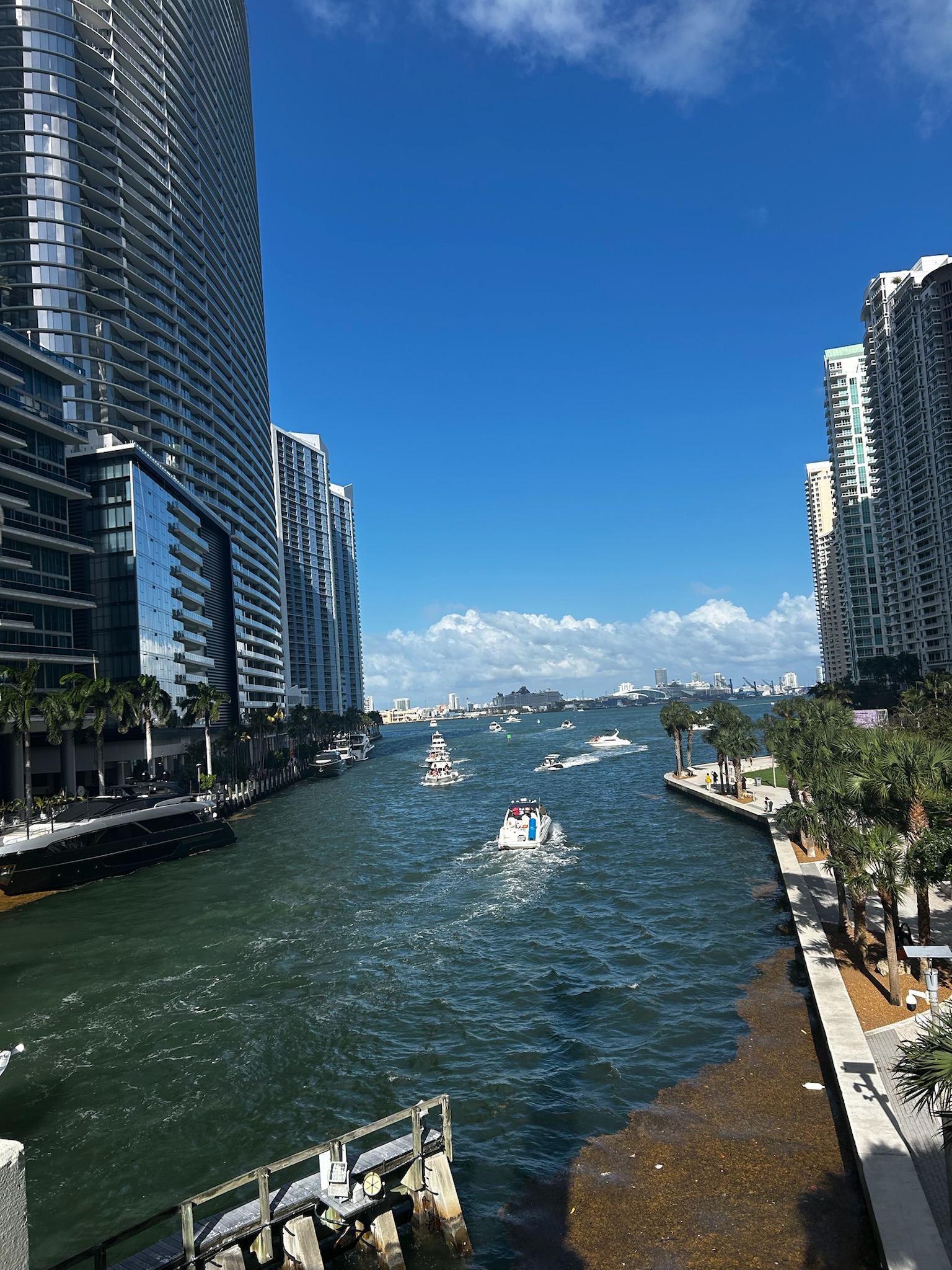 Miami Grand Prix Travel Guide: What It Actually Costs and Whether It Is Worth It