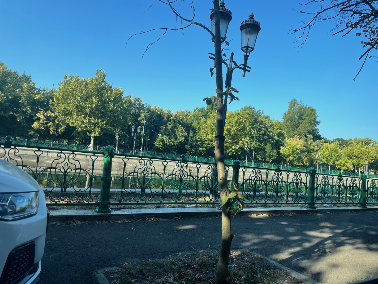 Central Europe by Train in May: Berlin, Prague, Vienna, and Munich