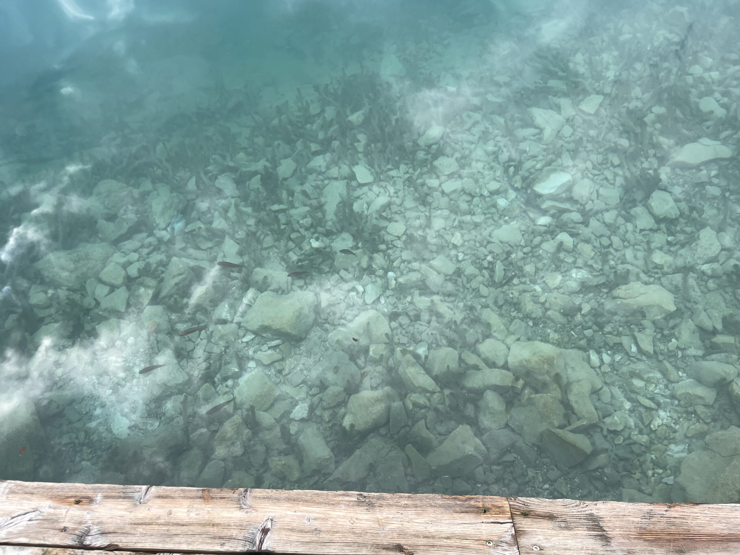 Crystal clear turquoise water of the Adriatic Sea from a wooden dock