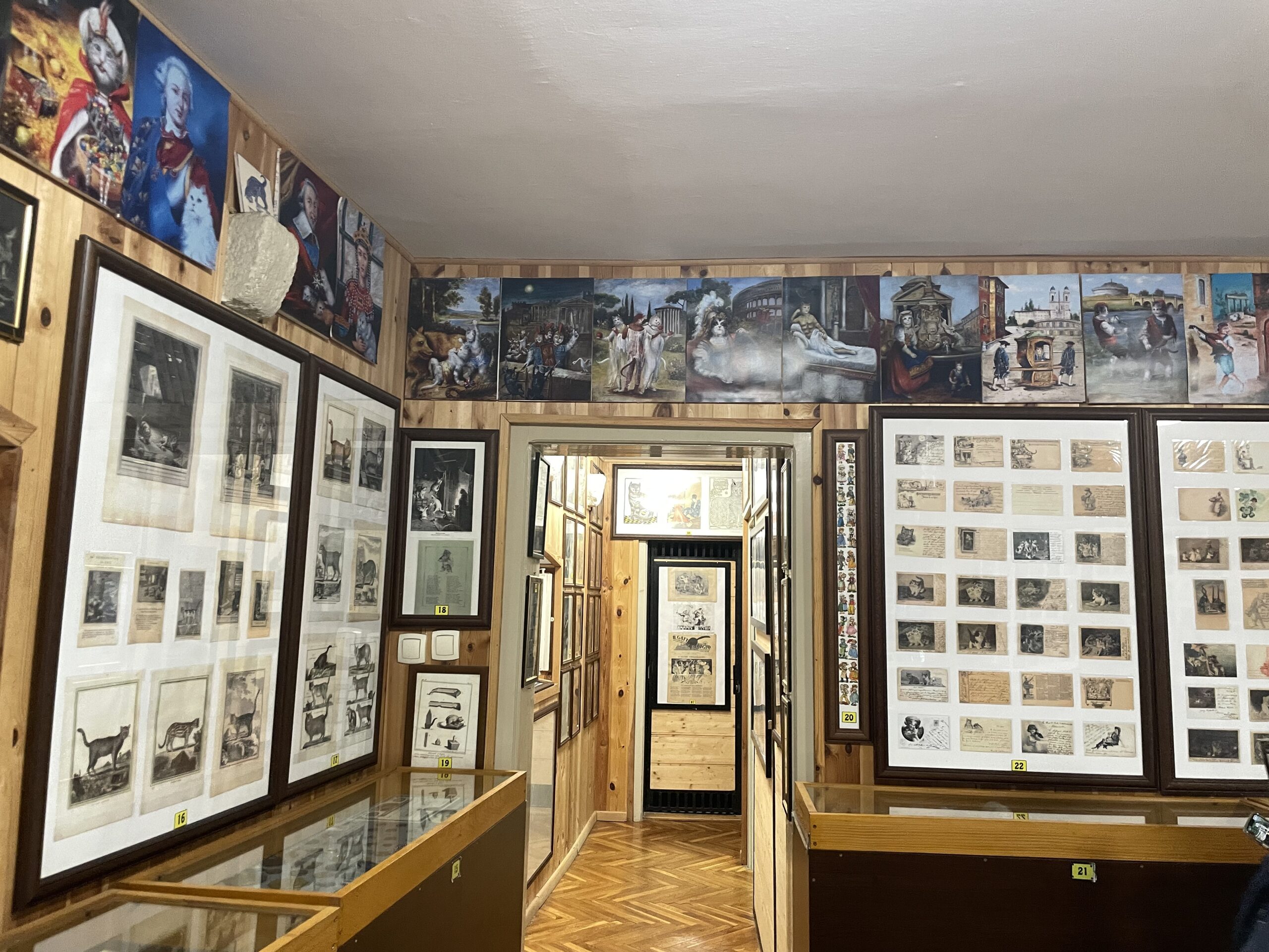 Gallery wall covered in cat paintings and photographs in Kotor Montenegro