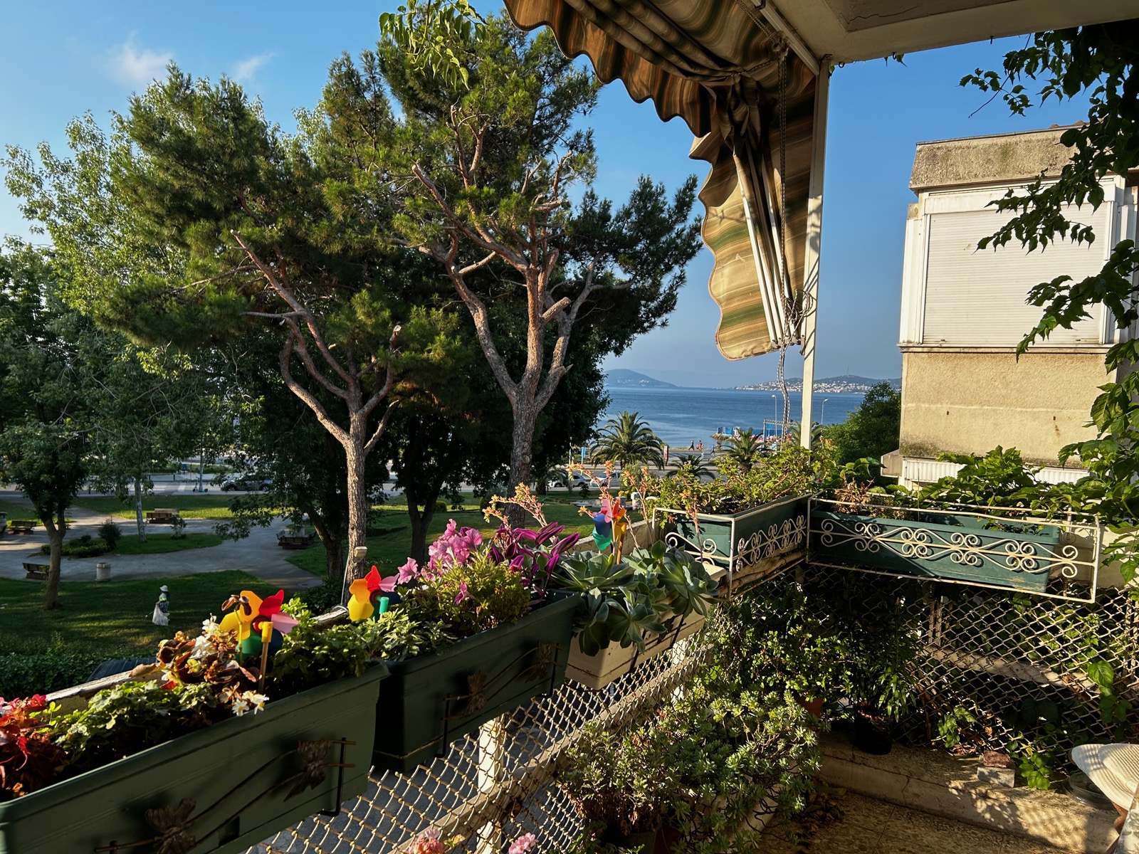 Jordan and Istanbul: Petra, Amman, and Four Days in Turkey