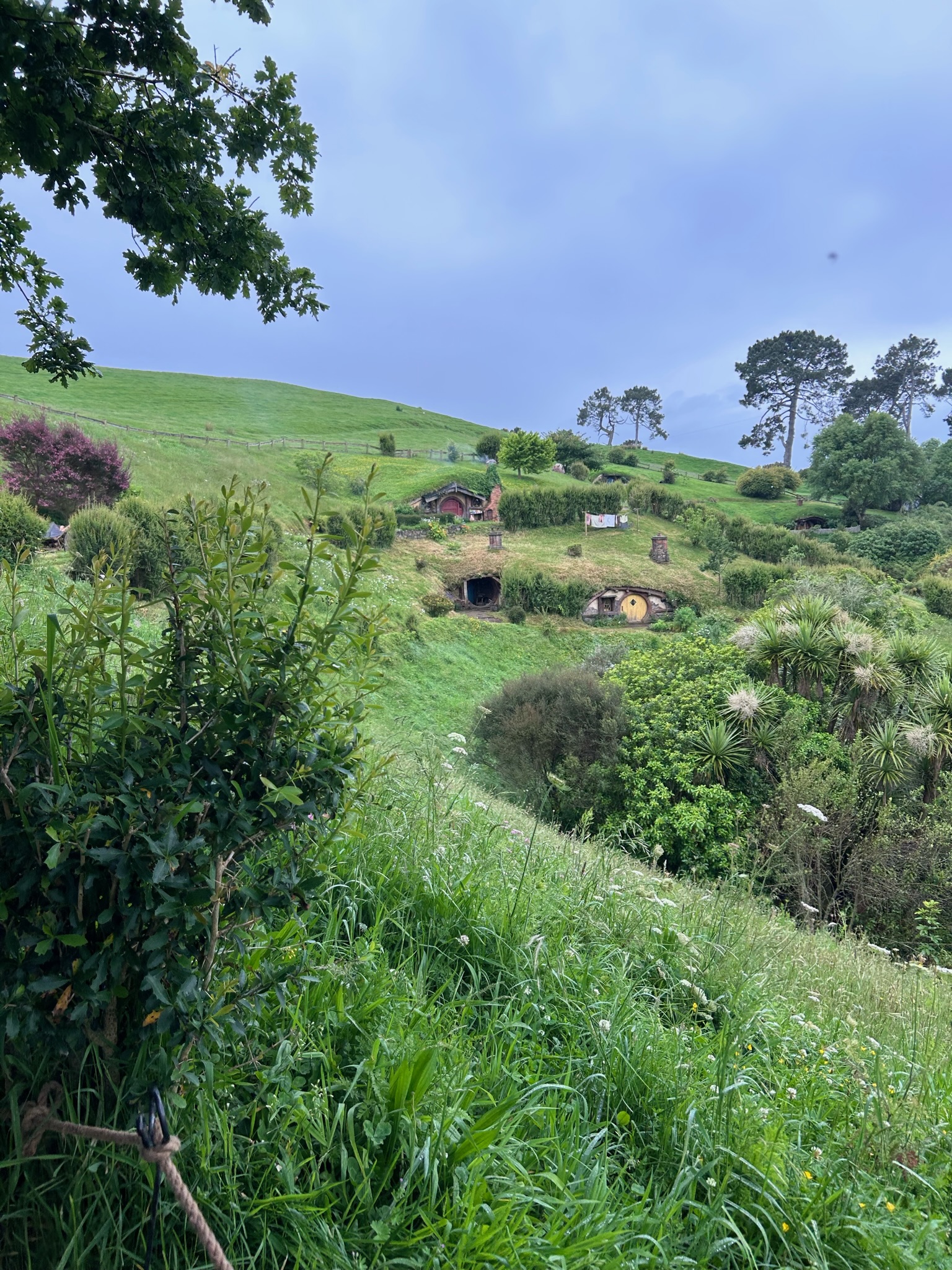 Campervan vs Hotel Road Trip — The Real Cost Comparison After New Zealand