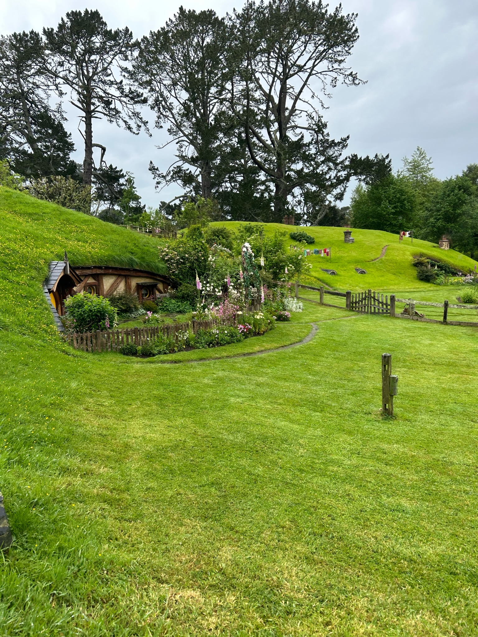 Twins NZ 2023 – IMG_6265