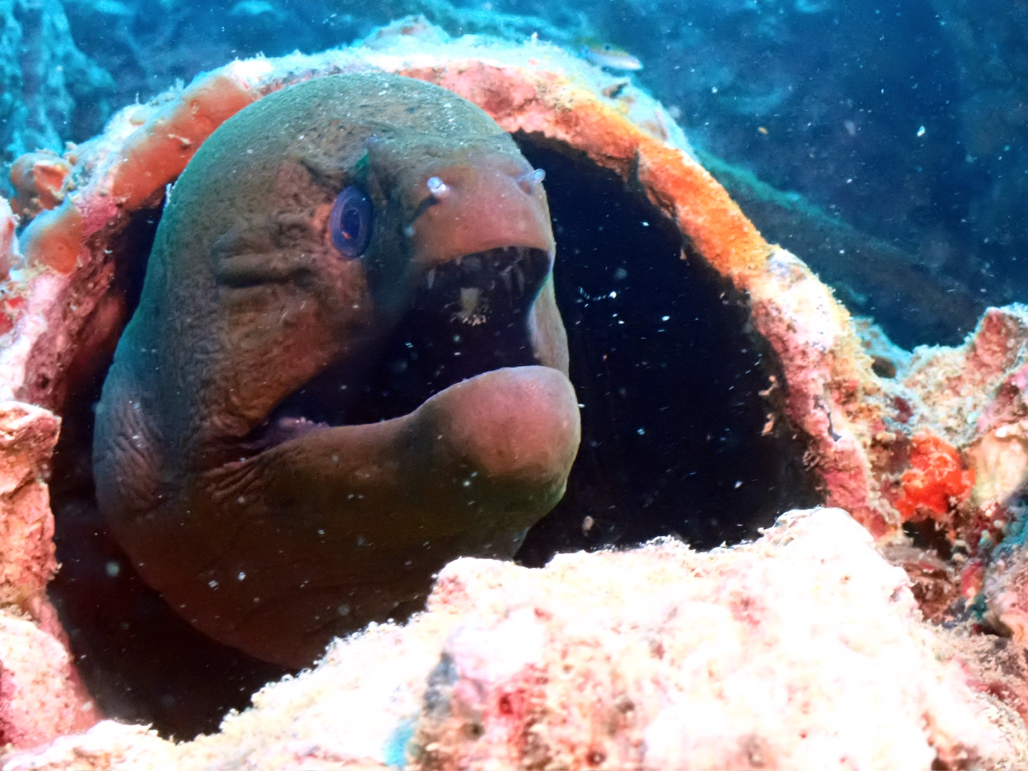 Bangkok Street Food - restaurant interior and dining atmosphere