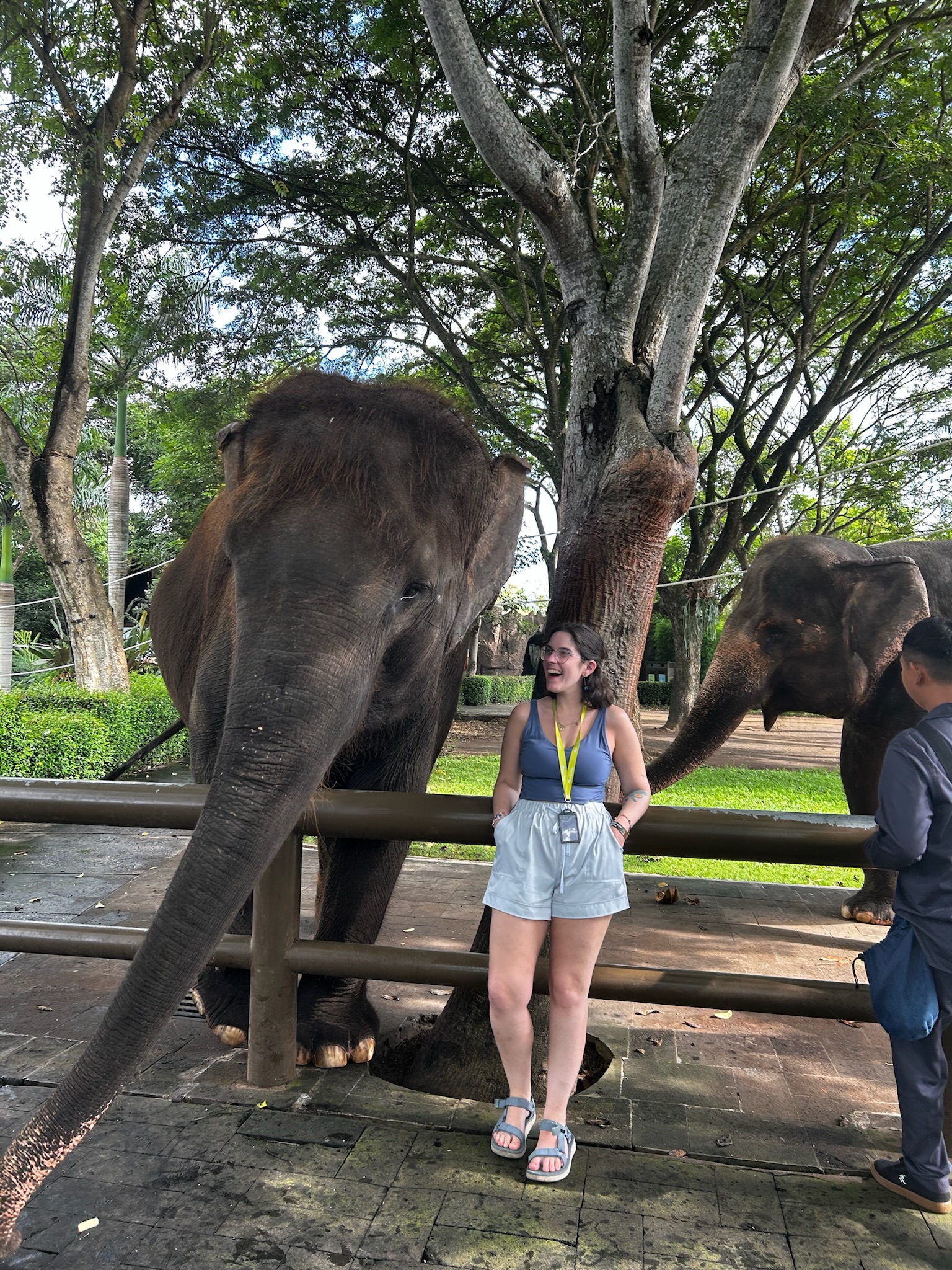 Bali Warung Guide - restaurant interior and dining atmosphere