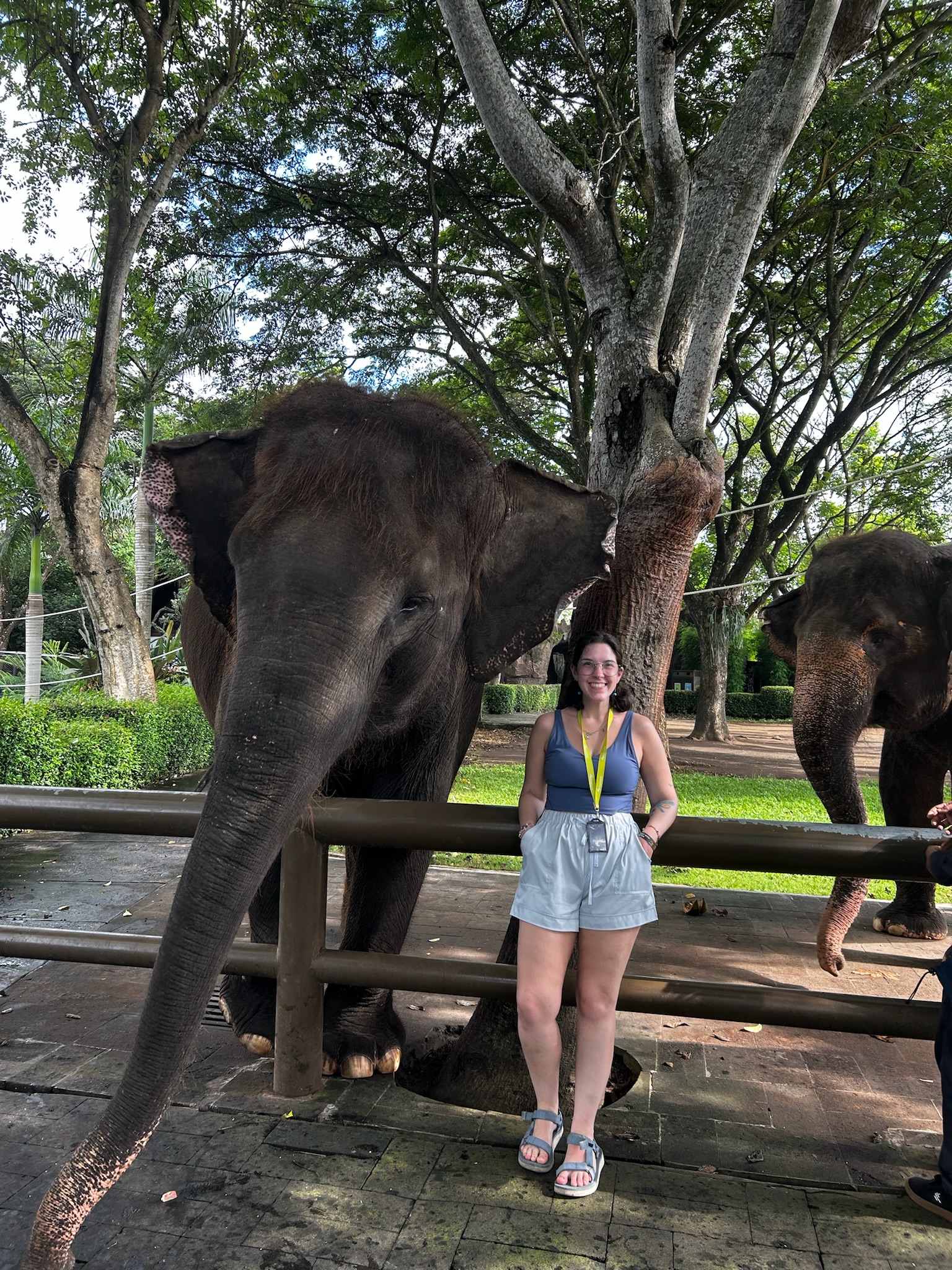 Tulamben beach area in Bali near the USAT Liberty dive site