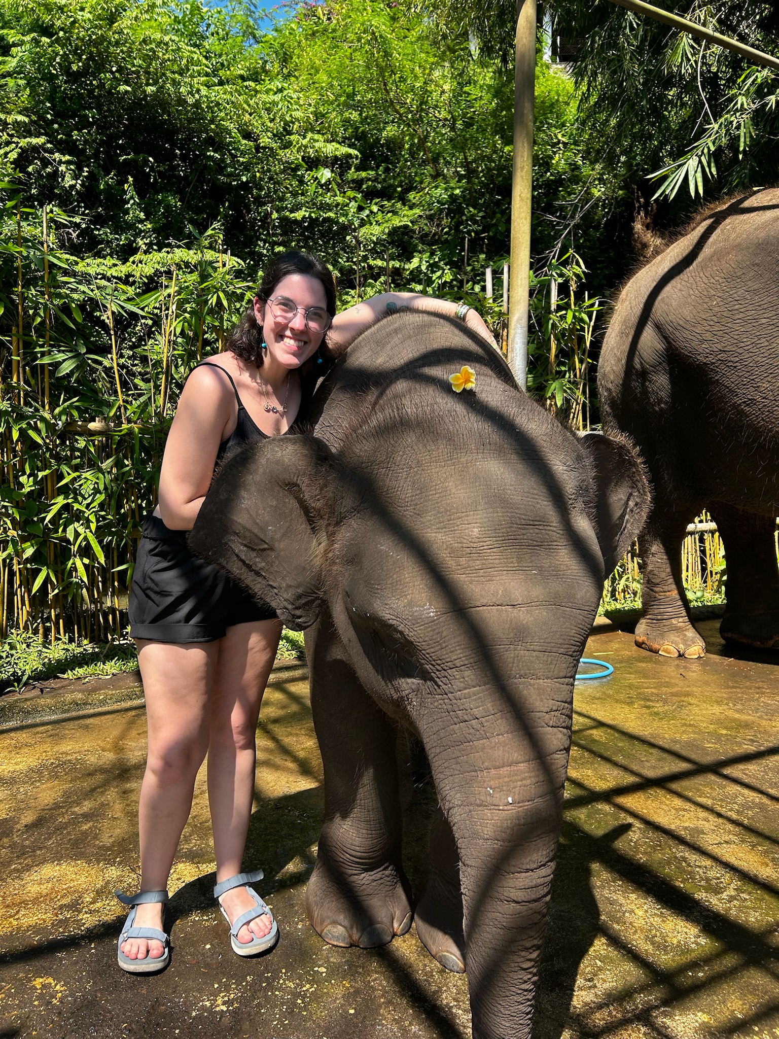 East Bali coastal scenery near Padang Bai dive site