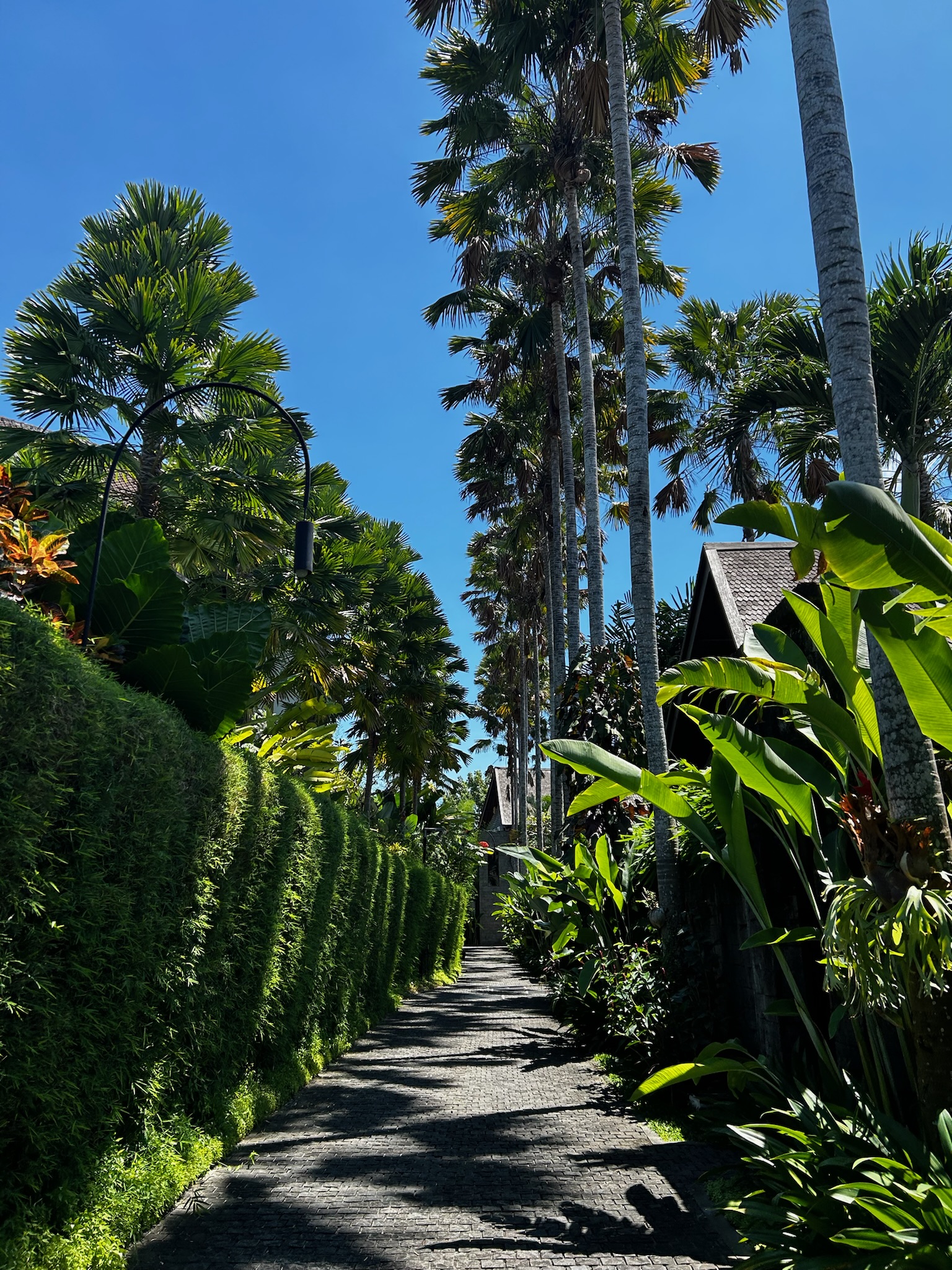 Bali for Remote Workers Beyond Canggu — Ubud, Sanur, and Uluwatu Compared