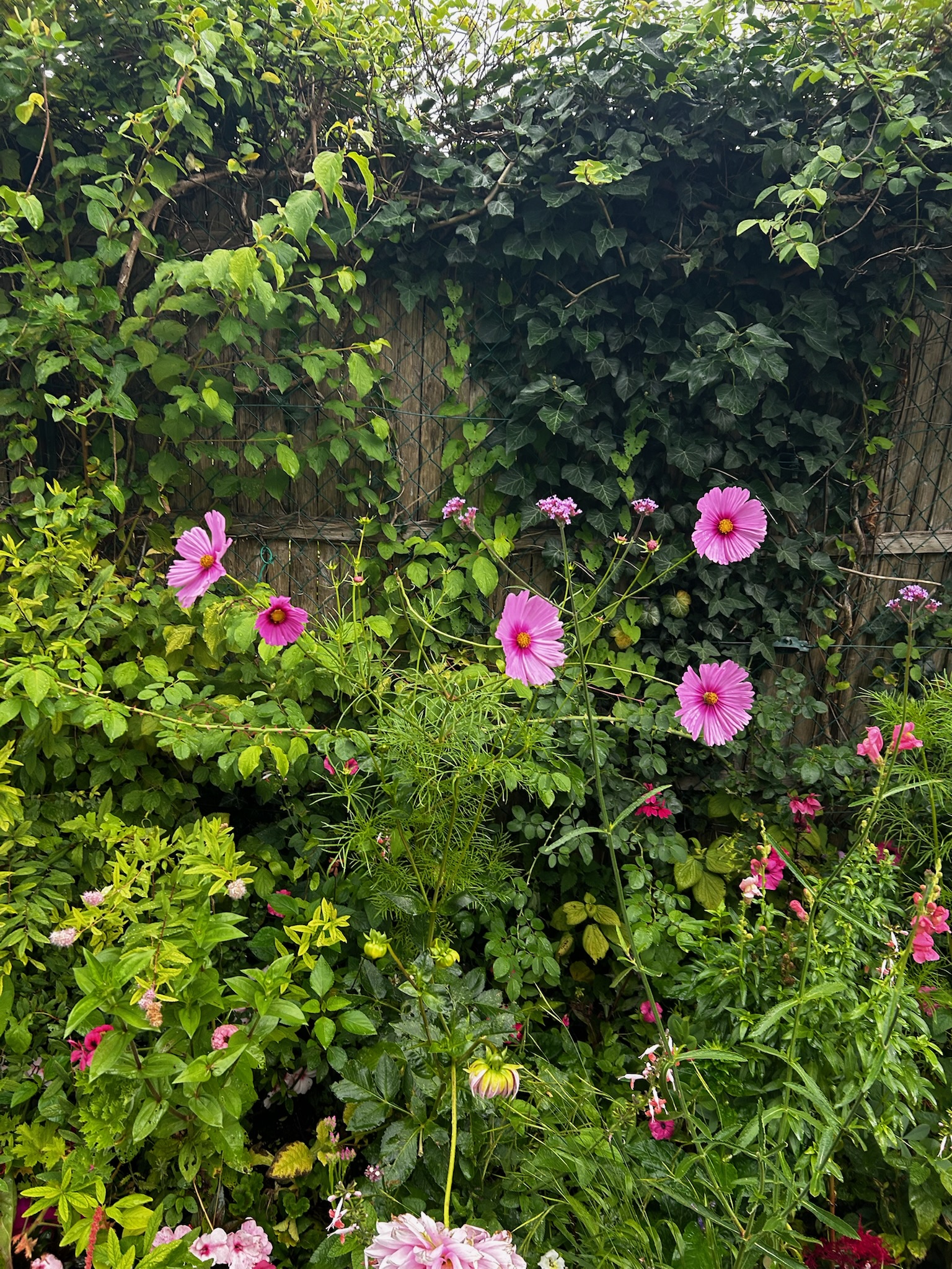 AMS-SPA-Paris 2025 – IMG_8550