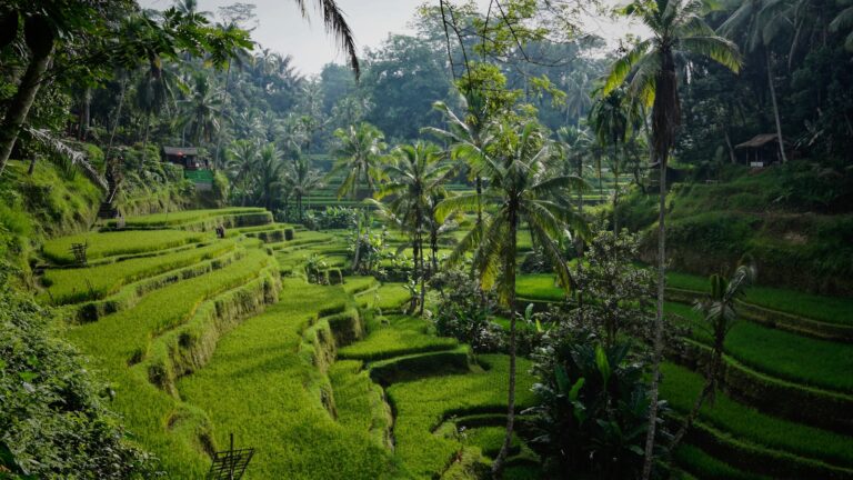 Travel photo from Bali, Indonesia