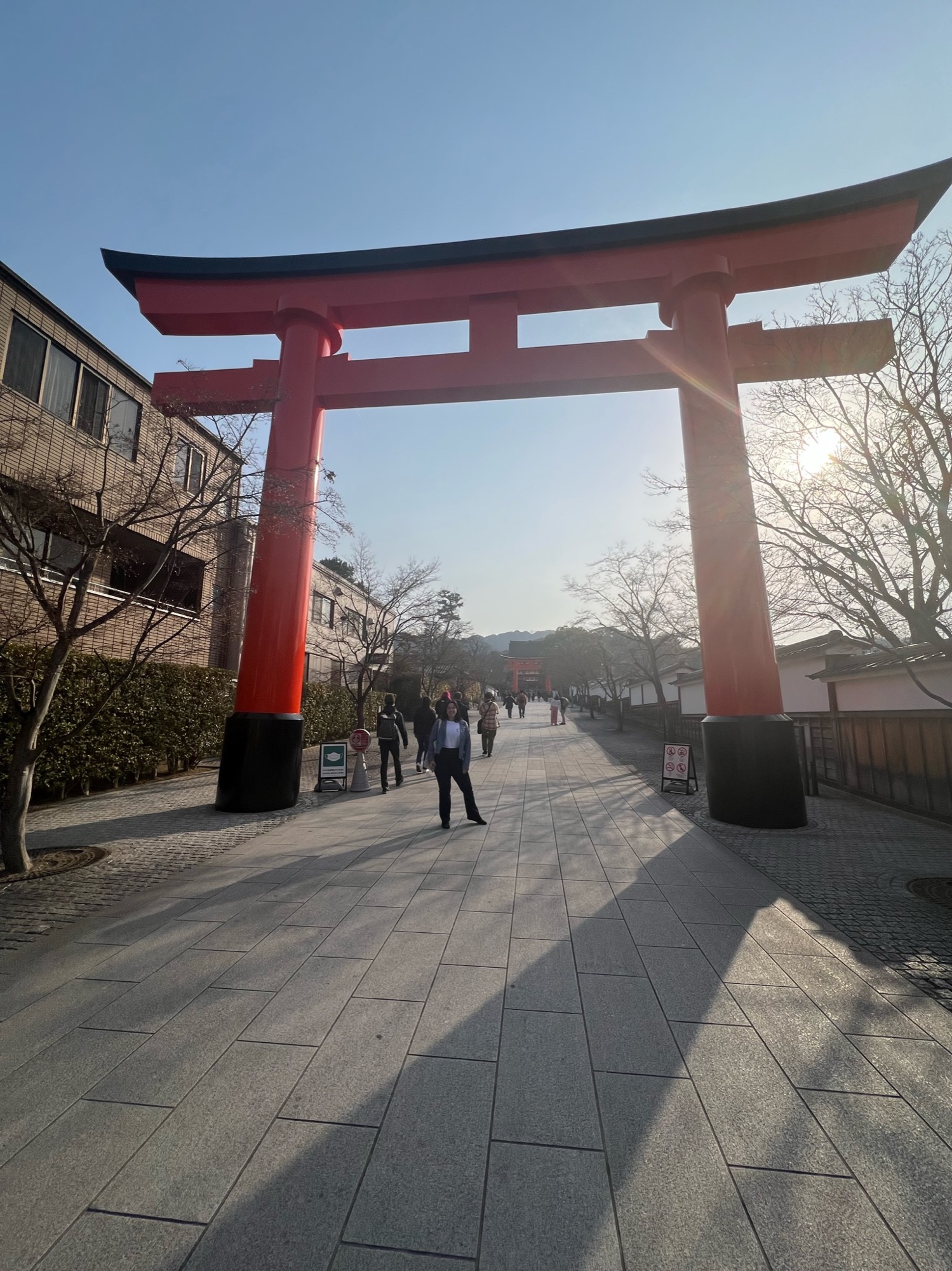 Japan: Two Weeks of Temples, Ramen, and Perfect Trains