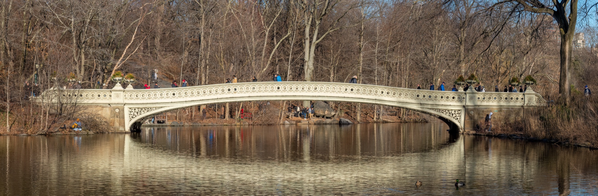 Bow Bridge in Central Park