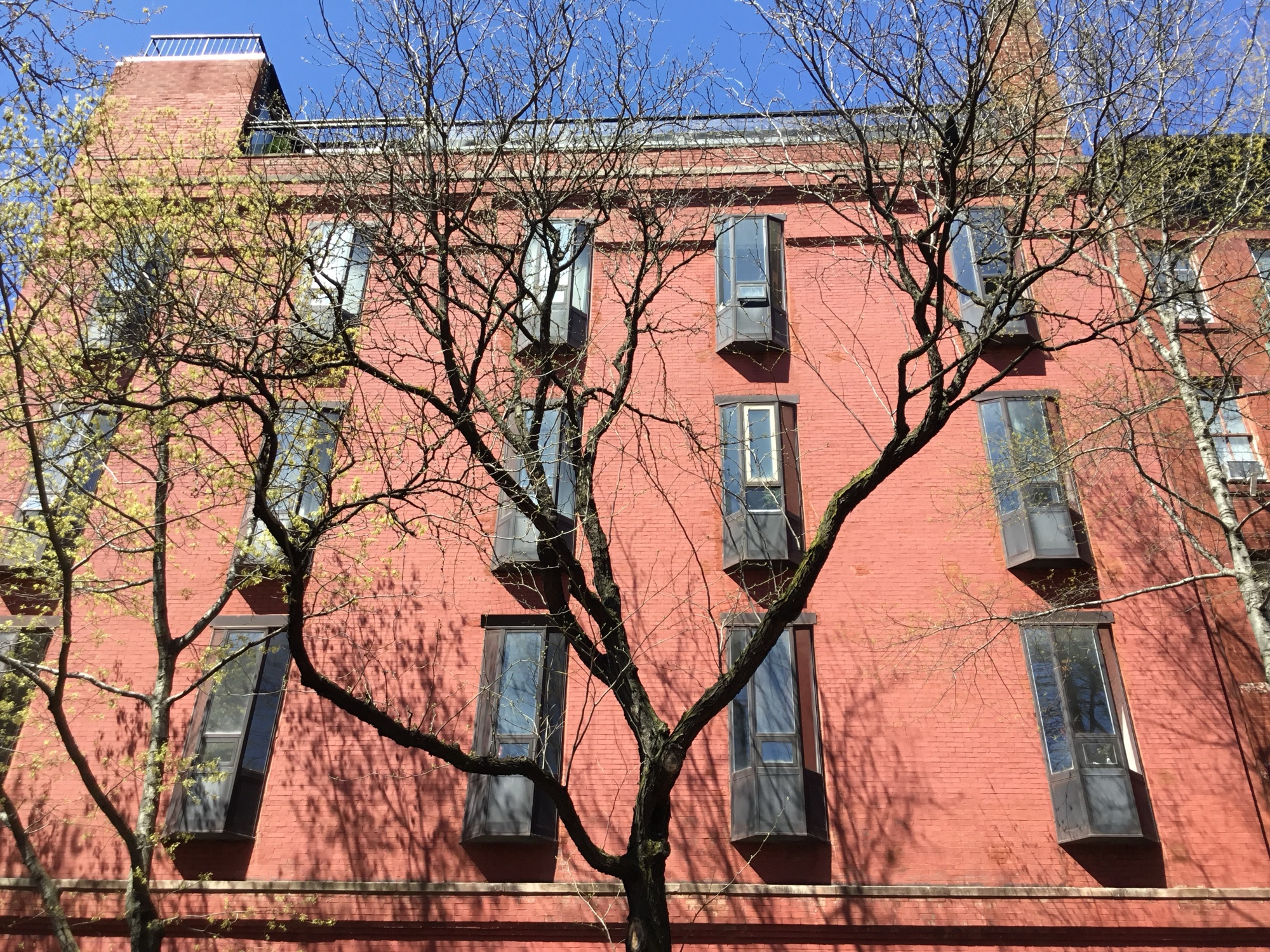 Best NYC Neighborhoods for First-Timers, Ranked