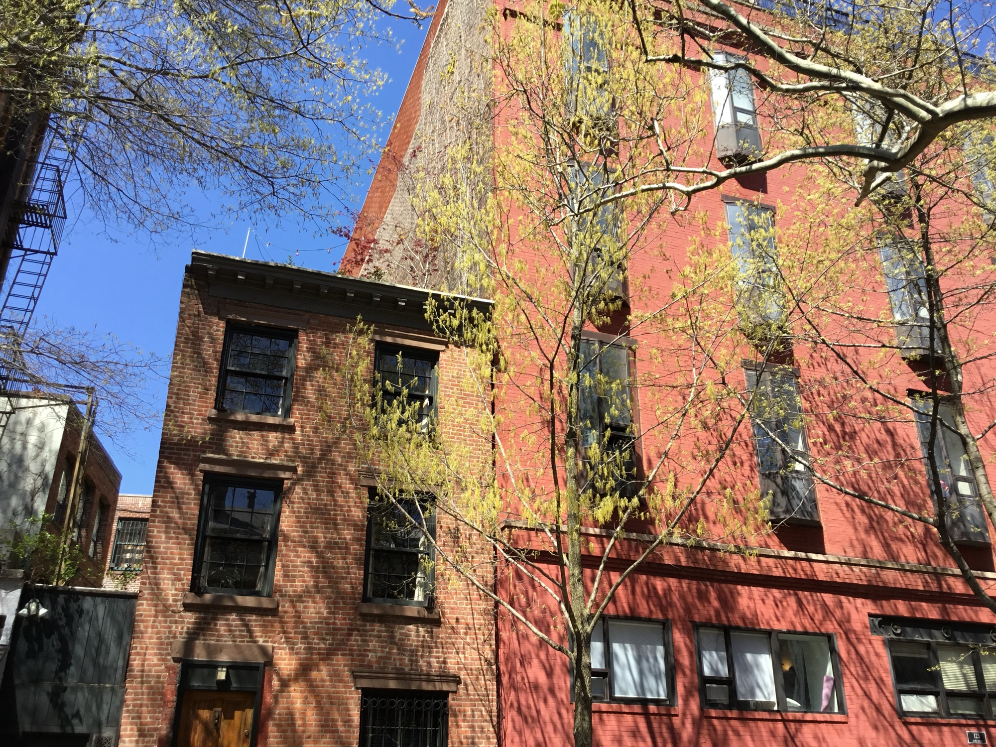 West Village block in April
