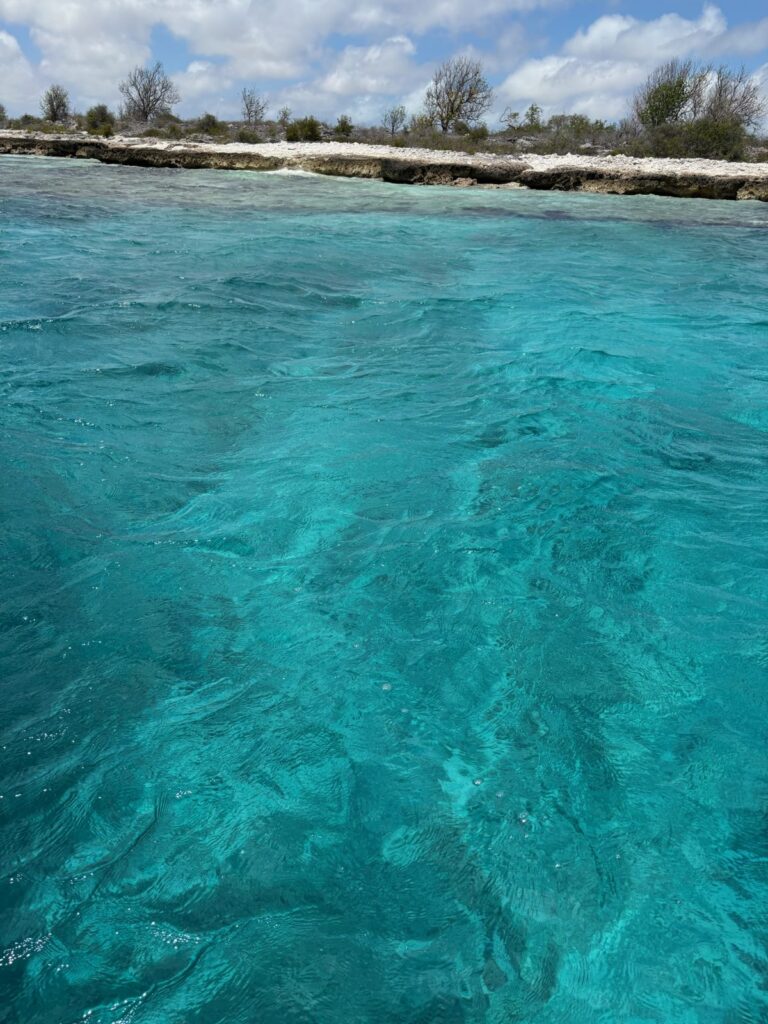 Turquoise water off a low Bonaire shoreline from a boat