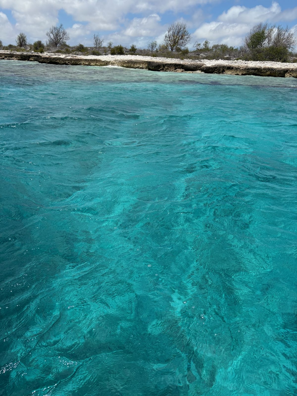 Turquoise water off a low Bonaire shoreline from a boat
