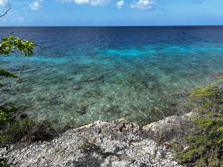 Reef and clear water below a limestone cliff on Bonaire's west coast