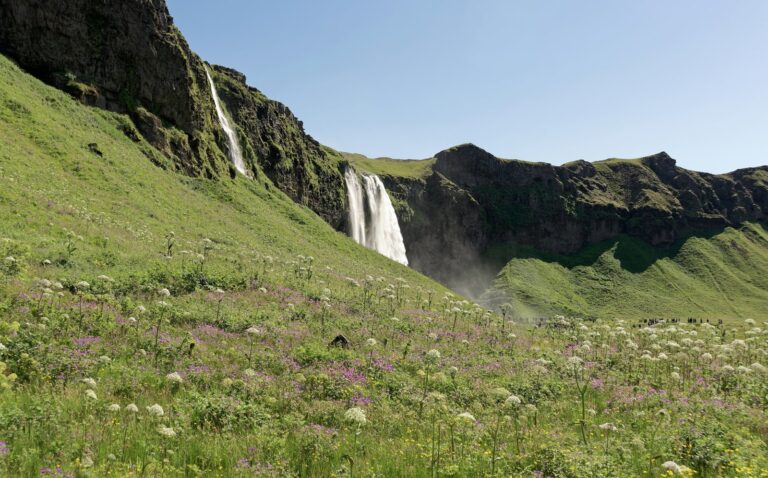 Seljalandsfoss waterfall in summer, south Iceland