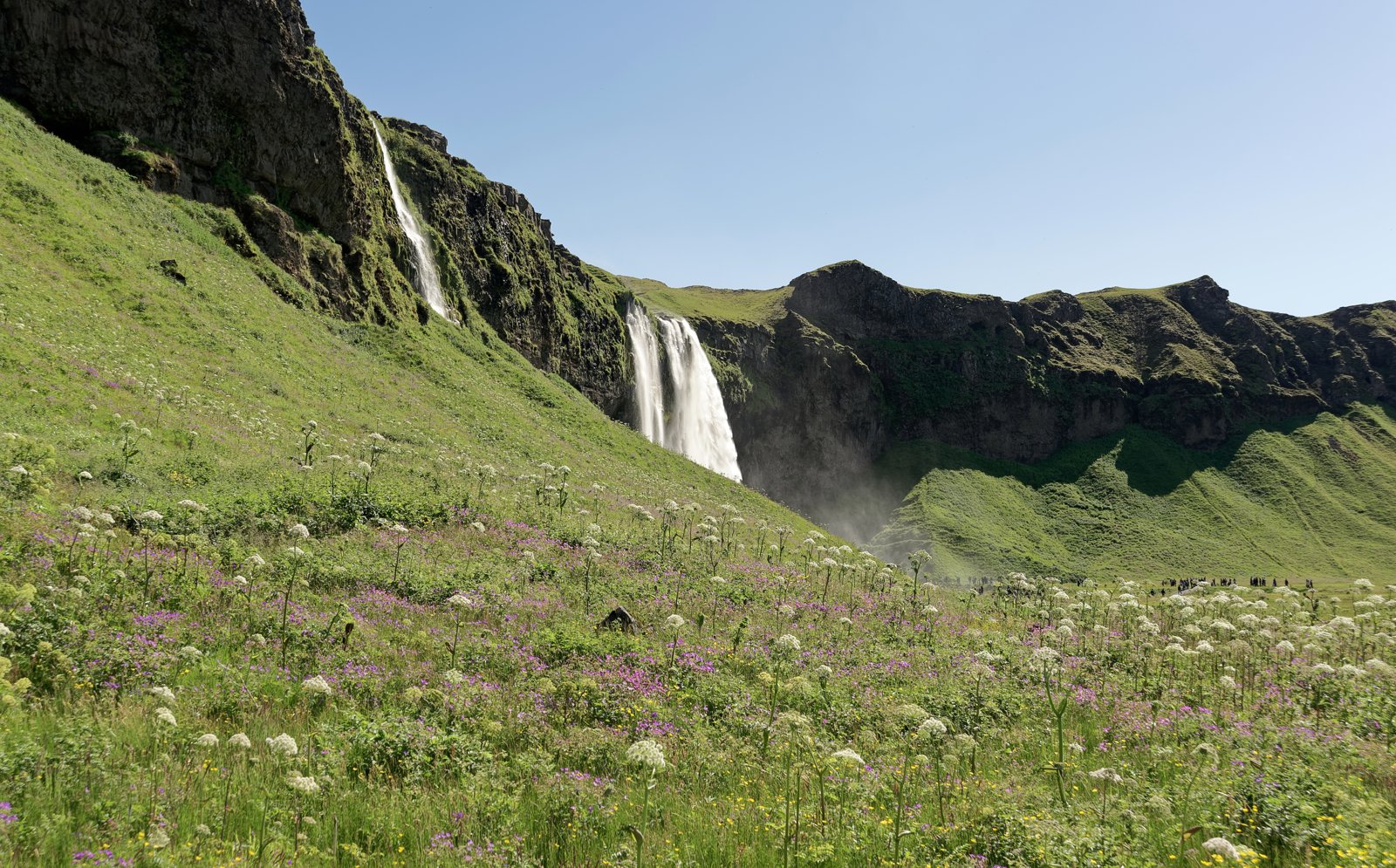 Seljalandsfoss waterfall in summer, south Iceland